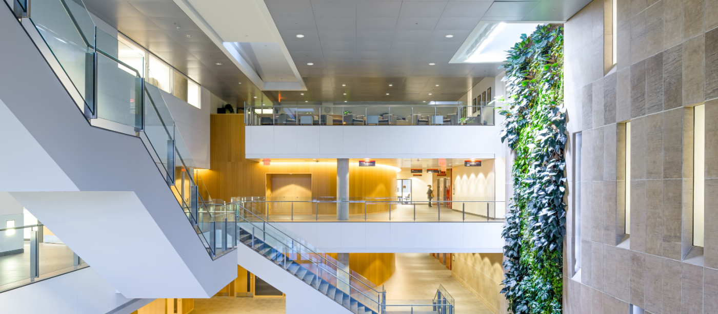 The interior of Richcraft building, featuring stairs, conference rooms and a plant wall