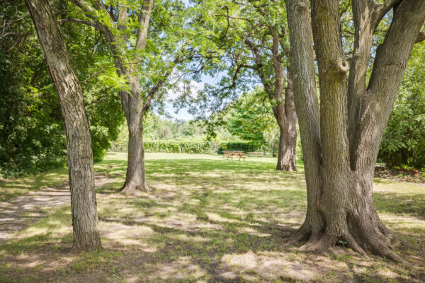 Oxbow Park. A large green area with trees and picnic tables.